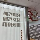 딥잉 산본점 | 산본역 딥잉 애견미용 스피츠믹스 가위컷 내돈내산 후기