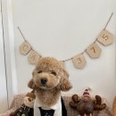 왈왈상점 이미지