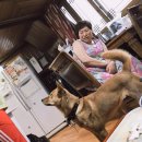 준영메디칼 | [송파구 서울동물메디컬센터] 진돗개 뽕자 중성화+항체검사