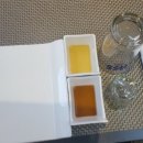 다이닝참치J.S