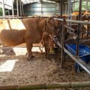 산이축산 이미지