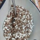 쿠우쿠우 송탄점 이미지