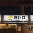 은정돼지부속구이 혁신점 | [충북/음성] 충북혁신도시 맛집_금돼지(뒷고기 맛집 추천)