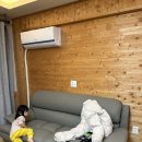 카프리 펜션 | 남해 애견동반펜션 바다뷰, 개인마당이 있는 카프리펜션 에어비앤비 내돈내산 후기