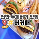 천안 수제버거 맛집 백석동 버거애 내돈내먹 후기