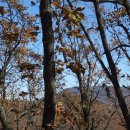 매산하우스 이미지