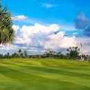 힐링골프 이미지