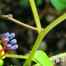 프로컴 이미지