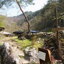 꿈꾸는유배지늡다리 이미지