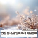 동막골푸드 이미지