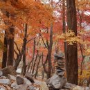 선운사의추억 이미지