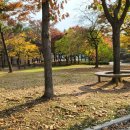 일동라스베가스 공원 네이버블로그