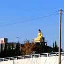 부산23산우회 울산 태화강 국가정원/2025.11.23 이미지