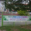 부산도시농업전문가협회 이미지