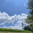 기린산소 이미지