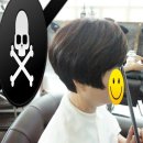 트레보헤어 이미지