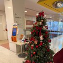 22-B | 임신 22주 2차 정밀초음파 시기 후기 feat. 임산부 감기, b형간염 2차