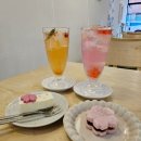 에이스카센타 | 대구 동촌유원지 카페 아홉 :) 벚꽃 나들이 다녀왔어요~