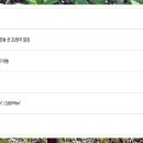 GS25 자이사랑 이미지