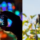 CW-1839-01 이미지