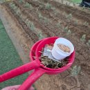 (주)아이어스 | 용인딸기체험농장 동물먹이주기 체험 가능한 헤븐온어스 아이와 데이트장소 추천