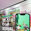 찌꼬뽀꼬 광안펫스테이션점 | 광안역가볼만한곳 앵무새카페 피피피 펫스테이션 솔직후기
