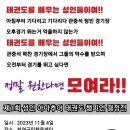 영등포참피온태권도 네이버블로그