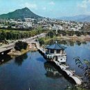 명동다실 Daum카페