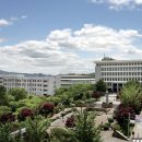 명지대학교 Daum카페
