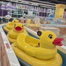 우주카월드 | 파주아이랑실내 플레이월드파주점 놀거리천국 시간무제한 주차장 수유실 식당 디테일한 리얼 후기