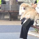 한국모터즈