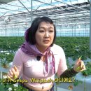 교포농장 이미지