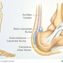 머스트무브짐 PT&Pilates 잠실새내 4호점 이미지