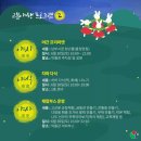 금빛야행
