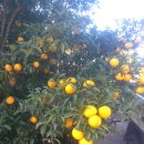 바다농장 이미지