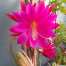 연봉농장 이미지