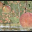 박달농원 이미지