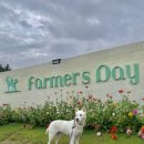 대촌농협 | [국내/여행] 당진 파머스데이 소개 및 이용 후기