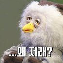 마곡세탁 이미지