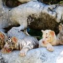 이티농장 이미지