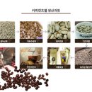 켓츠웰 이미지