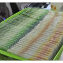 올리브한의원 이미지