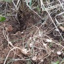 달래농장 이미지