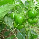 과림 낚시터 이미지