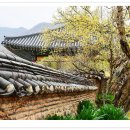 송광사 이미지
