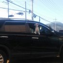 여주-0907 이미지