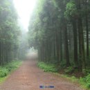 한경원광소규모요양시설 이미지