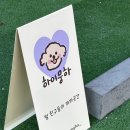 하이뭉하 이미지