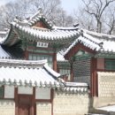 H8079 Daum카페