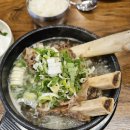 신촌갈비탕 | 울산 24시 골프채 갈비탕 맛집 신촌 갈비탕 후기